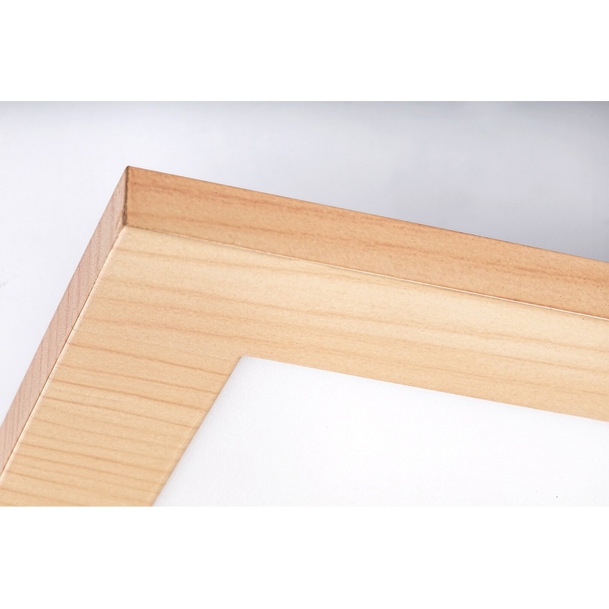 Rabalux - LED Pinta-asennettava paneeli LED/12W/230V 4000K