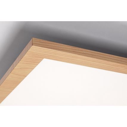 Rabalux - LED Pinta-asennettava paneeli LED/40W/230V 4000K