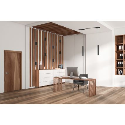 Rabalux - LED Kattovalaisin 1-vaihekiskoon LED/12W/24V 3000K 22 cm musta