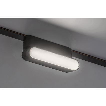 Rabalux - LED Kattovalaisin 1-vaihekiskoon LED/6W/24V 4000K 11,5 cm musta