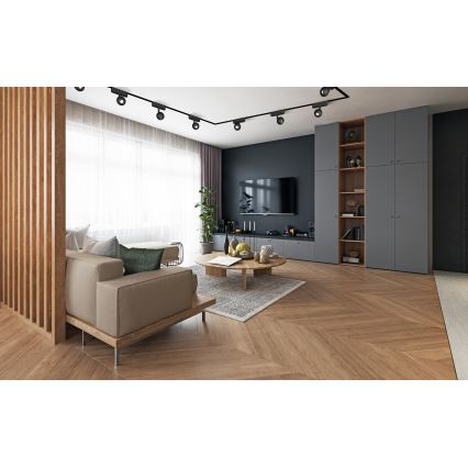 Rabalux - LED Yksivaiheisen kiskojärjestelmän kohdevalo LED/5W/24V 4000K musta