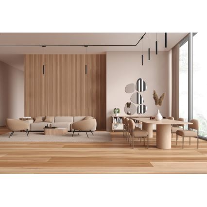 Rabalux - LED-kattokruunu johdossa 1-vaiheiselle kiskojärjestelmälle LED/5W/24V 4000K musta