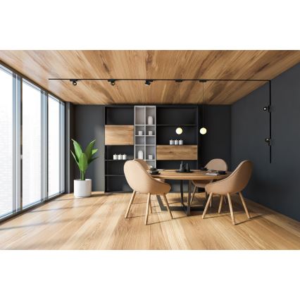 Rabalux - LED Himmennettävä kattovalaisin 1-vaihekiskoon LED/4W/24V 2700-5500K Wi-Fi Tuya 11,5 cm musta