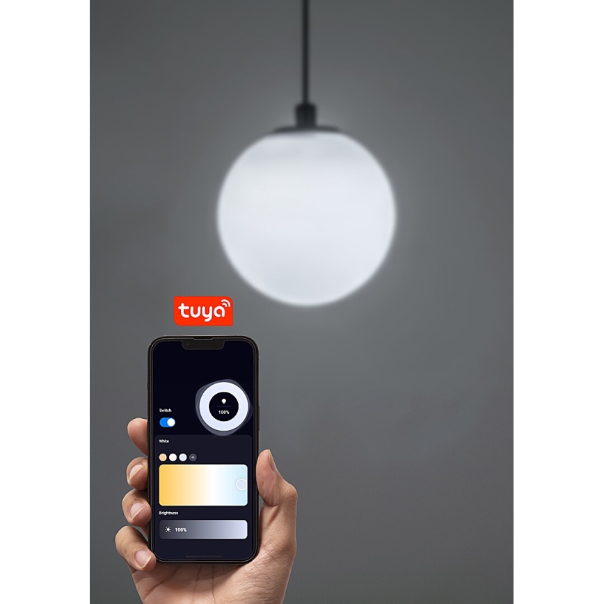 Rabalux - Himmennettävä LED-kattokruunu johdossa 1-vaiheiselle kiskojärjestelmälle LED/5W/24V 2700-5500K Wi-Fi Tuya musta