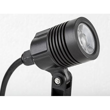 Rabalux - LED-ulkovalaisin LED/3W/230V IP65