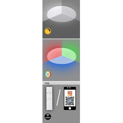 Rabalux - LED RGB himmennettävä kattovalaisin LED/24W/230V Wi-Fi Tuya 3000-6500K 31 cm