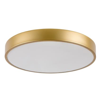Rabalux - LED-kattovalaisin LED/36W/230V 3000K halkaisija 40 cm