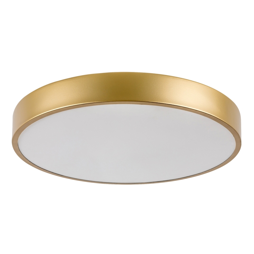 Rabalux - LED-kattovalaisin LED/36W/230V 3000K halkaisija 40 cm