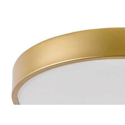 Rabalux - LED-kattovalaisin LED/36W/230V 3000K halkaisija 40 cm