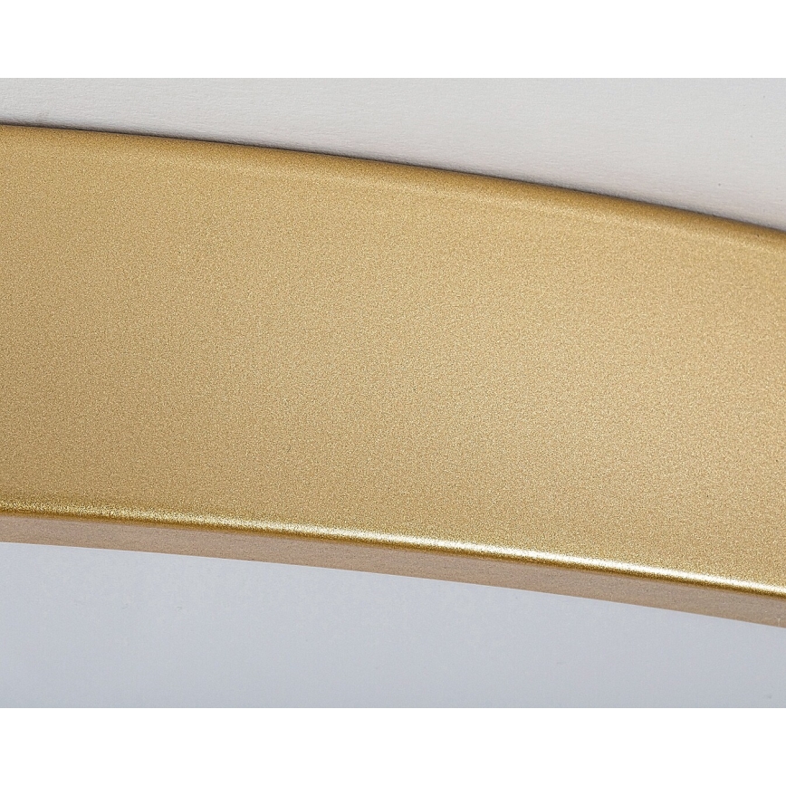 Rabalux - himmennettävä LED-kattovalaisin LED/60W/230V 3000-6000K + kauko-ohjain, halkaisija 60 cm