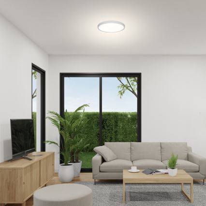 Rabalux - LED-kattovalaisin LED/24W/230V 4000K halkaisija 30 cm valkoinen