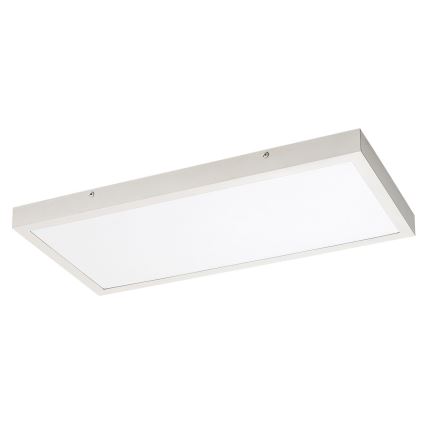 Rabalux - Kiinteä LED-paneeli LED/24W/230V 4000K 60x30 cm