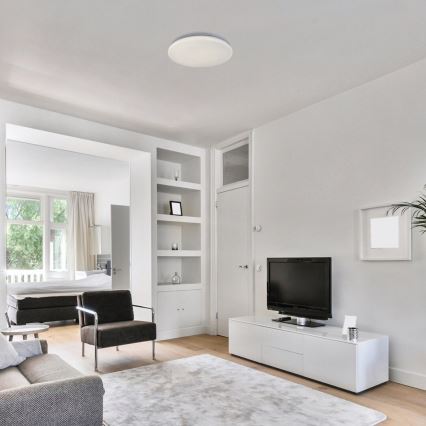 Rabalux - LED-kattovalaisin LED/12W/230V 4000K Ø 25,5 cm