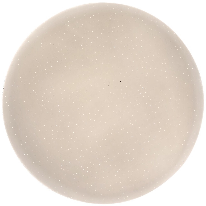 Rabalux - LED-kattovalaisin LED/12W/230V 4000K Ø 25,5 cm