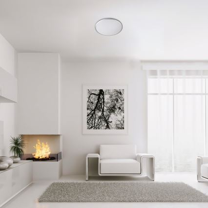 Rabalux - LED-kattovalaisin LED/18W/230V 4000K hopea 27 cm