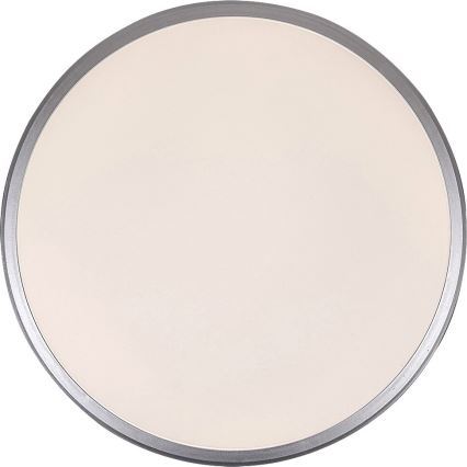 Rabalux - LED-kattovalaisin LED/45W/230V 4000K hopea 48 cm