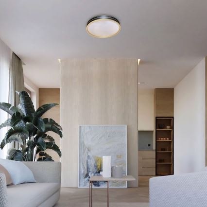 Rabalux - Himennettävä LED-kattovalaisin LED/24W/230V 3000-6500K halkaisija 39 cm + kaukosäädin