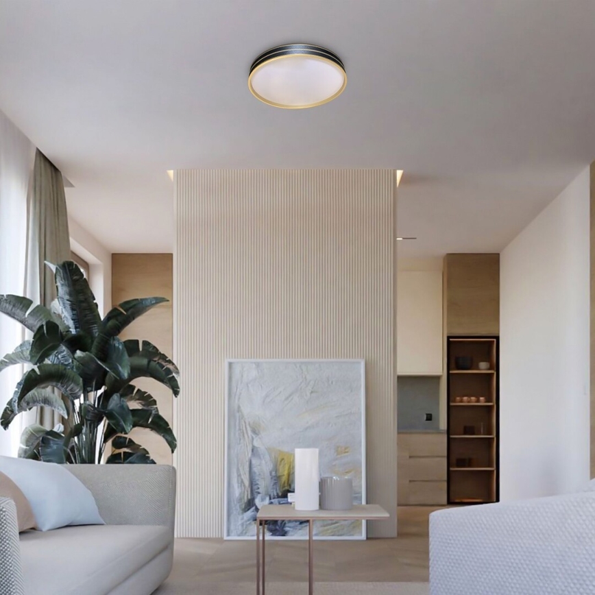 Rabalux - Himennettävä LED-kattovalaisin LED/24W/230V 3000-6500K halkaisija 39 cm + kaukosäädin