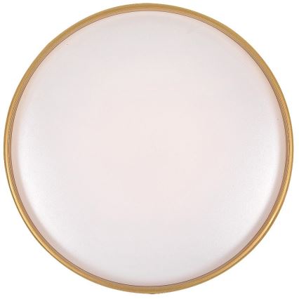 Rabalux - Himennettävä LED-kattovalaisin LED/24W/230V 3000-6500K halkaisija 39 cm + kaukosäädin