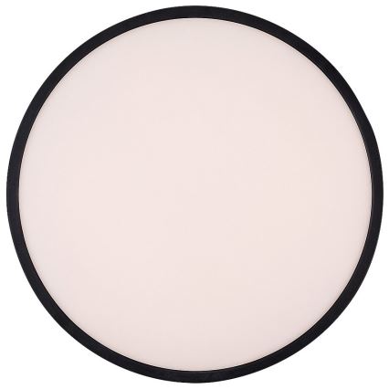 Rabalux - Himmennettävä LED-kattovalaisin LED/22W/230V 3000K 42 cm