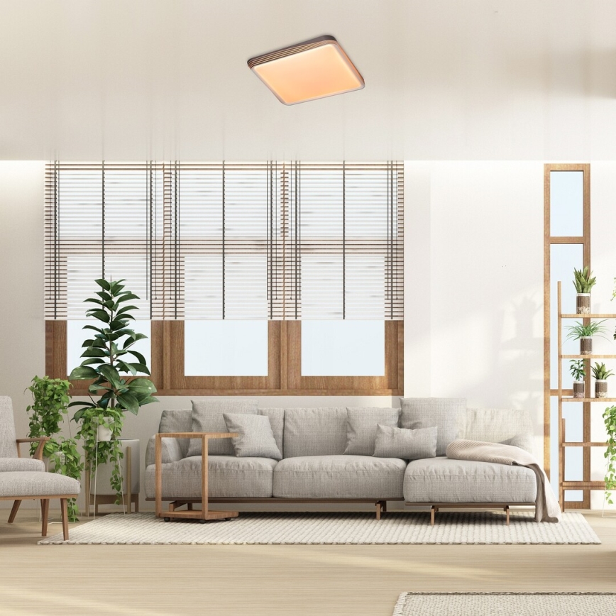 Rabalux - LED-kattovalaisin LED/40W/230V 3000K 48x48 cm