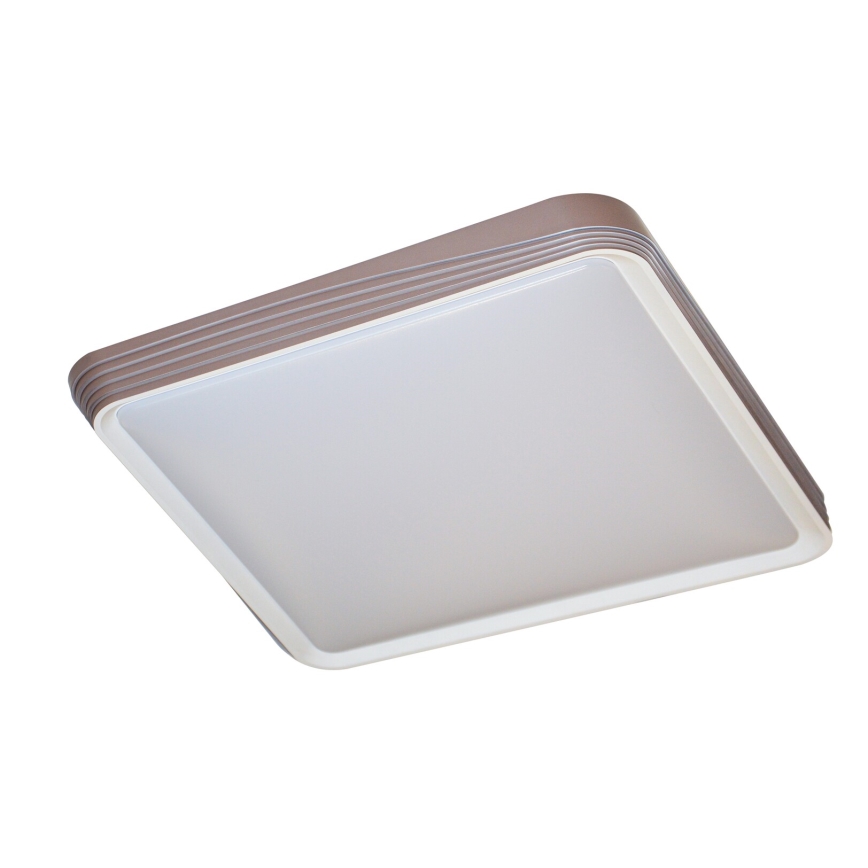 Rabalux - LED-kattovalaisin LED/40W/230V 3000K 48x48 cm