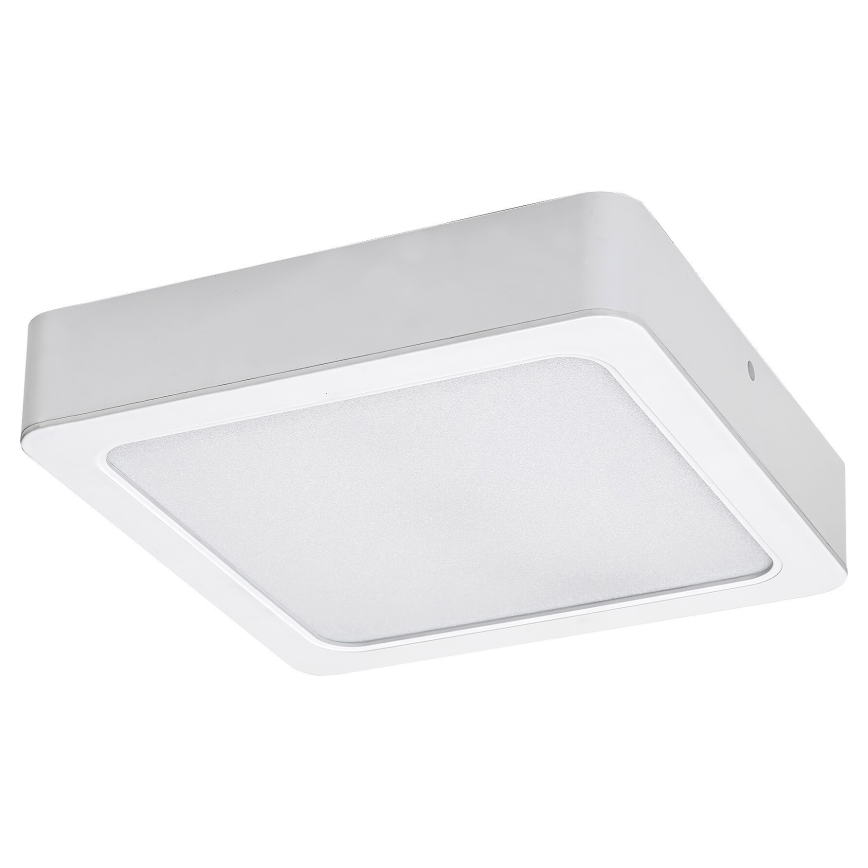 Rabalux - LED-kattovalaisin LED/7W/230V 4000K 12x12 cm valkoinen