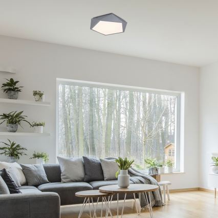 Rabalux - LED-kattovalaisin 30W/230V 3000K, halkaisija 40 cm
