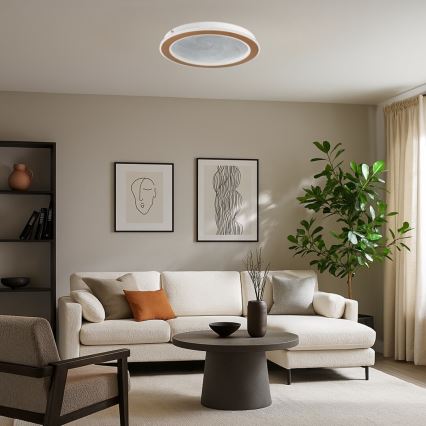 Rabalux - LED-himmennettävä kattovalaisin LED/24W/230V 3000-6500K Ø 40 cm + kaukosäädin
