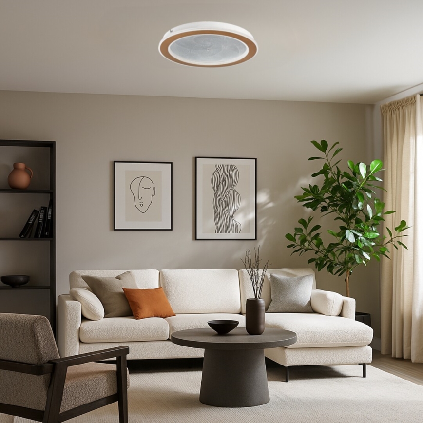 Rabalux - LED-himmennettävä kattovalaisin LED/24W/230V 3000-6500K Ø 40 cm + kaukosäädin