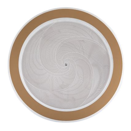 Rabalux - LED-himmennettävä kattovalaisin LED/24W/230V 3000-6500K Ø 40 cm + kaukosäädin