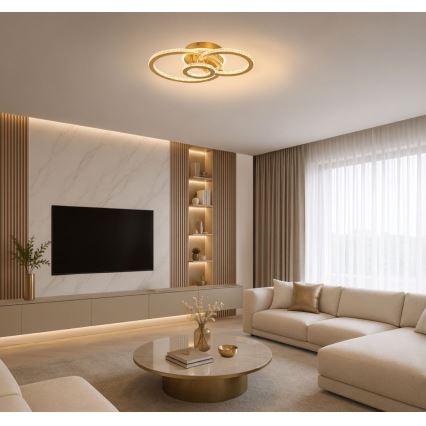 Rabalux - LED-himmennettävä kattovalaisin LED/40W/230V 3000-6500K + kaukosäädin