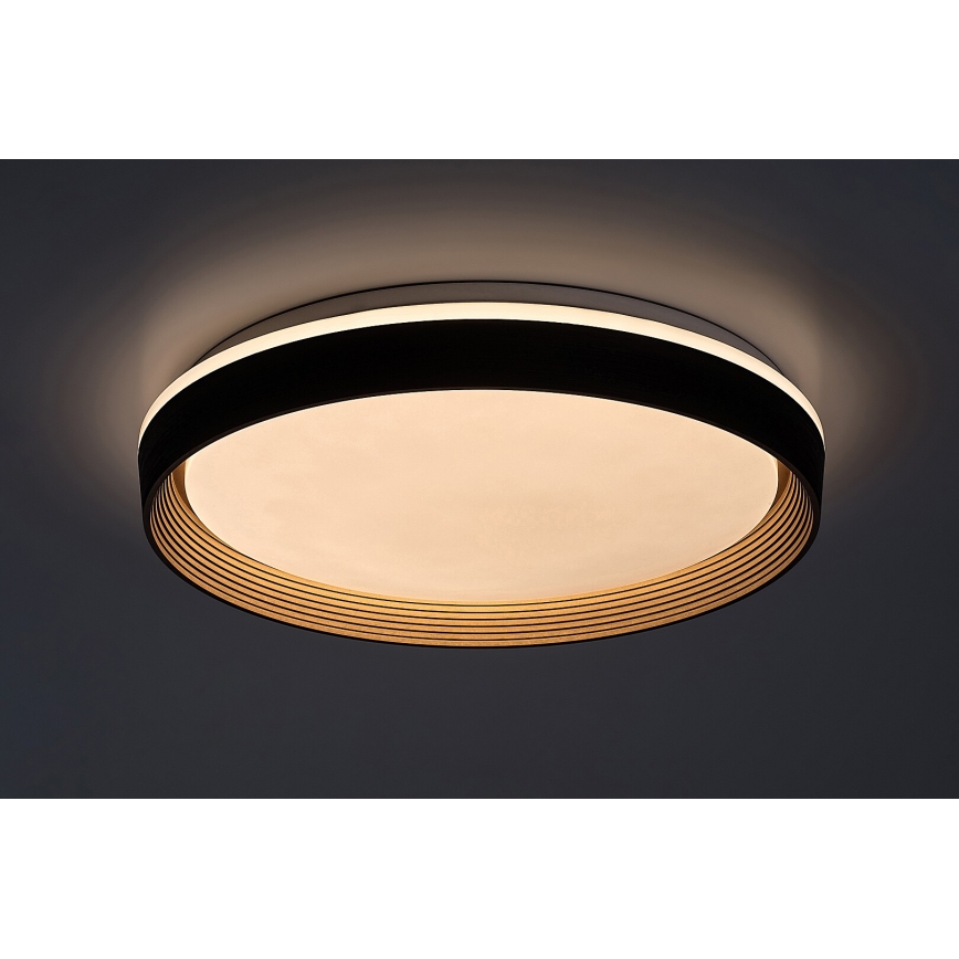 Rabalux - Himmennettävä LED-kattovalaisin LED/48W/230V 3000-6500K + kauko-ohjaus