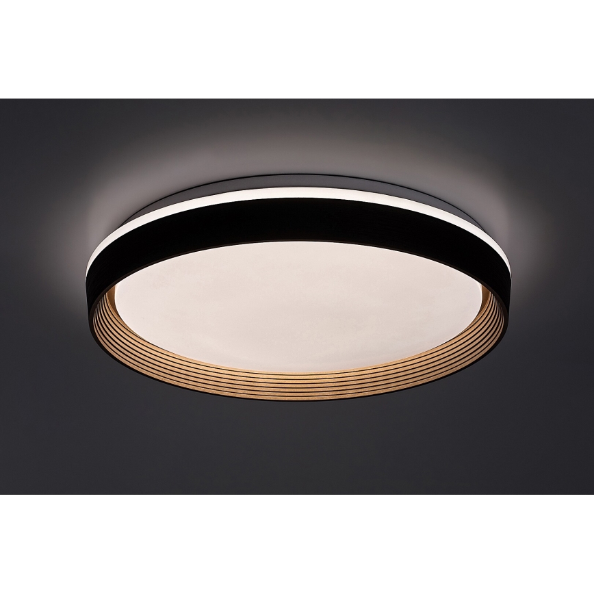 Rabalux - Himmennettävä LED-kattovalaisin LED/48W/230V 3000-6500K + kauko-ohjaus