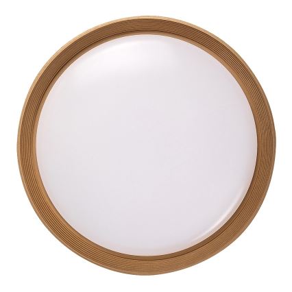 Rabalux - Himmennettävä LED-kattovalaisin LED/48W/230V 3000-6500K + kauko-ohjaus