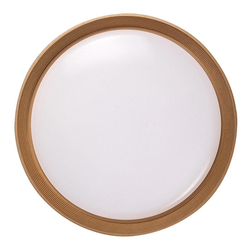 Rabalux - Himmennettävä LED-kattovalaisin LED/48W/230V 3000-6500K + kauko-ohjaus