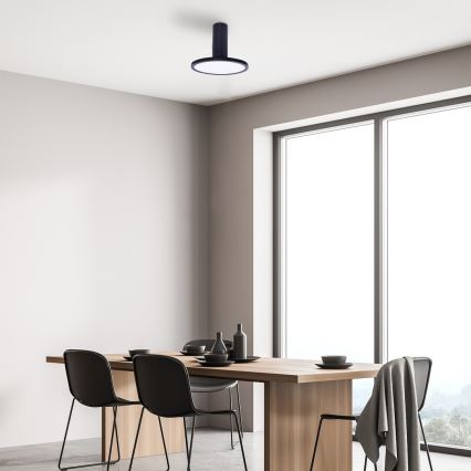 Rabalux - LED-kattovalaisin LED/20W/230V 3000K musta halkaisija 20 cm