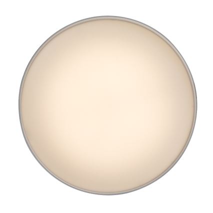 Rabalux - LED-kattovalaisin LED/24W/230V 3000K valkoinen, halkaisija 14 cm