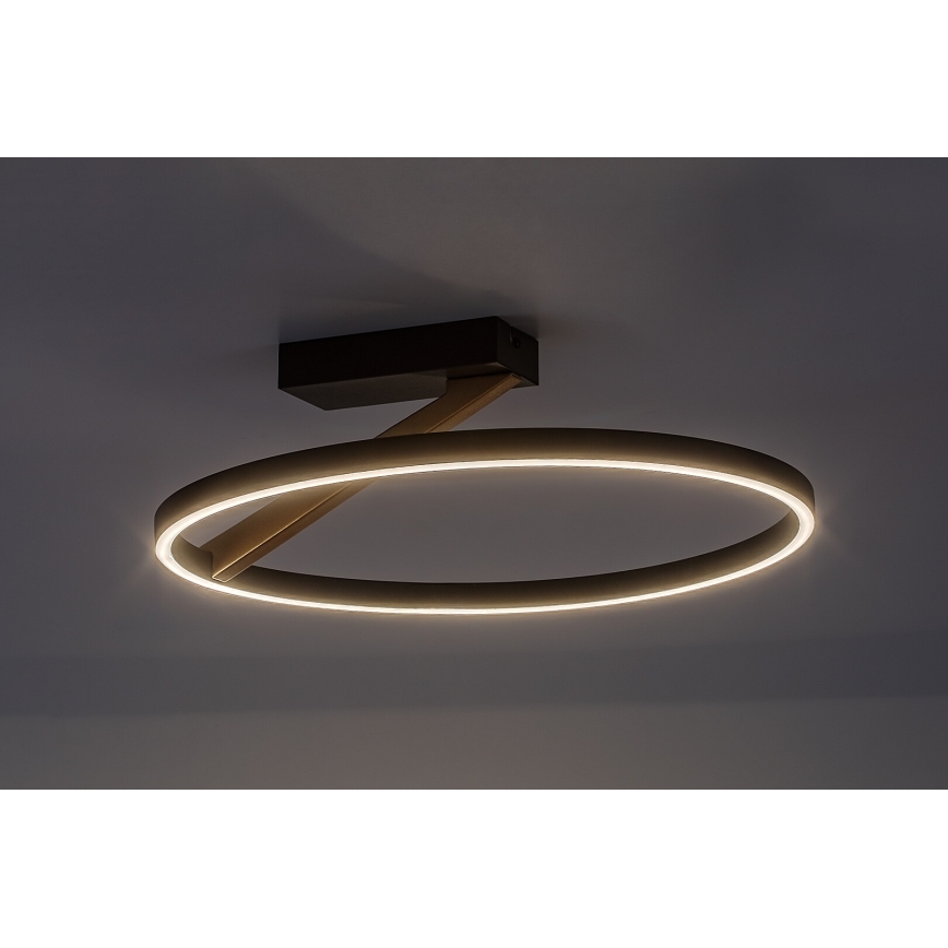 Rabalux - LED-kattovalaisin LED/24W/230V 3000K Ø 45 cm
