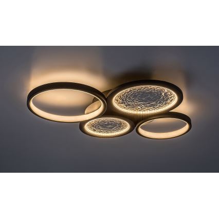 Rabalux - Himmennettävä LED-kattovalaisin LED/40W/230V 3000-6500K + kauko-ohjaus