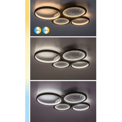 Rabalux - Himmennettävä LED-kattovalaisin LED/40W/230V 3000-6500K + kauko-ohjaus