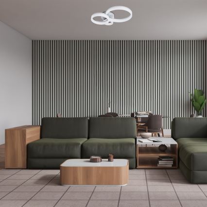 Rabalux - LED-kattovalaisin LED/24W/230V 3000/4000/6500K 38x51 cm mattakromi