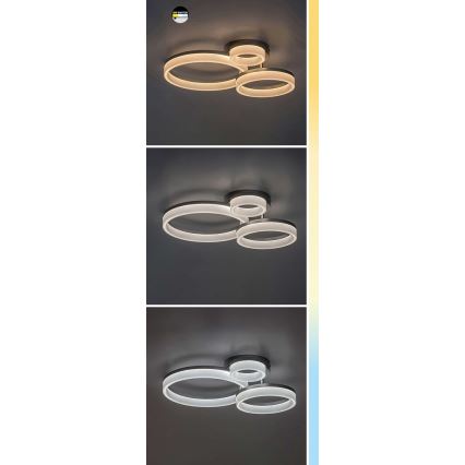 Rabalux - LED-kattovalaisin LED/24W/230V 3000/4000/6500K kulta 38x51 cm