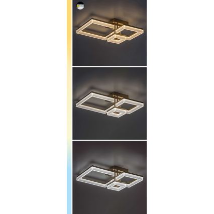 Rabalux - LED-kattovalaisin LED/22W/230V 3000/4000/6500K musta 47x47 cm