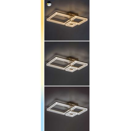 Rabalux - LED-kattovalaisin LED/22W/230V 3000/4000/6500K mattakromi 47x47 cm