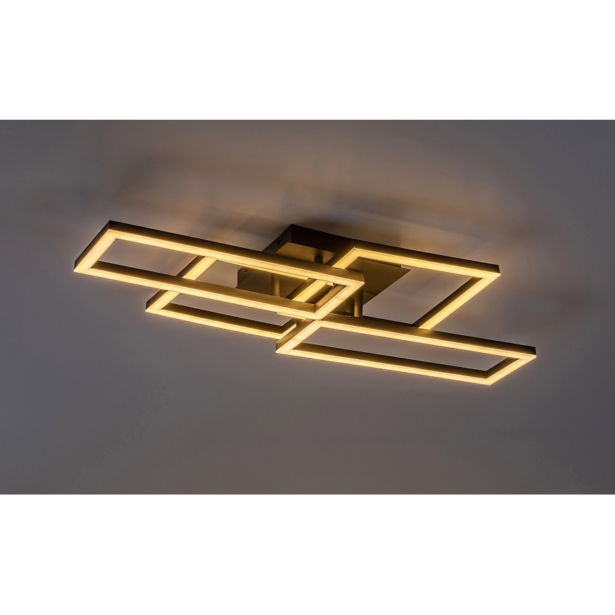 Rabalux - LED himmennettävä kattovalaisin LED/40W/230V 3000-6500K 35x70 cm + kaukosäädin