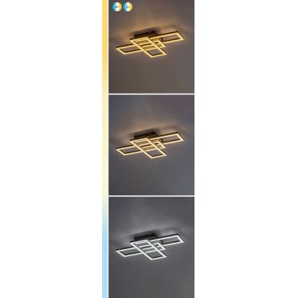 Rabalux - himmennettävä LED-kattovalaisin LED/40W/230V 3000-6500K + kaukosäädin 35x50 cm