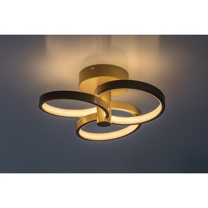 Rabalux - Himmennettävä LED-kattovalaisin LED/32W/230V 3000-6500K halkaisija 31 cm beige + kaukosäädin
