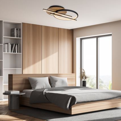 Rabalux - LED-kattovalaisin LED/40W/230V 3000/4000/6500K