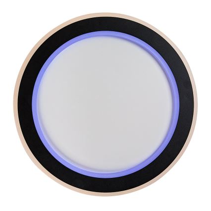 Rabalux - LED RGB himmennettävä kattovalaisin LED/22W/230V 3000-6500K halkaisija 45 cm + kaukosäädin